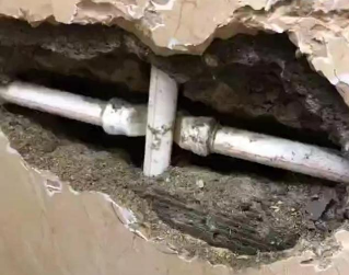 杜尔伯特测漏水哪家好